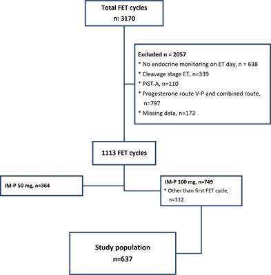 Individualized luteal phase support in frozen-thawed embryo transfer after intramuscular progesterone administration might rectify live birth rate